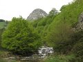 (36)2008 Mont Gerbier des Joncs